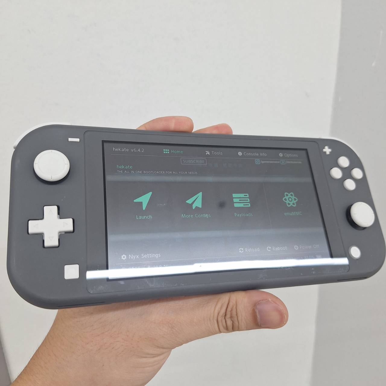 nintendo switch lite นินเท็นโด้เทา